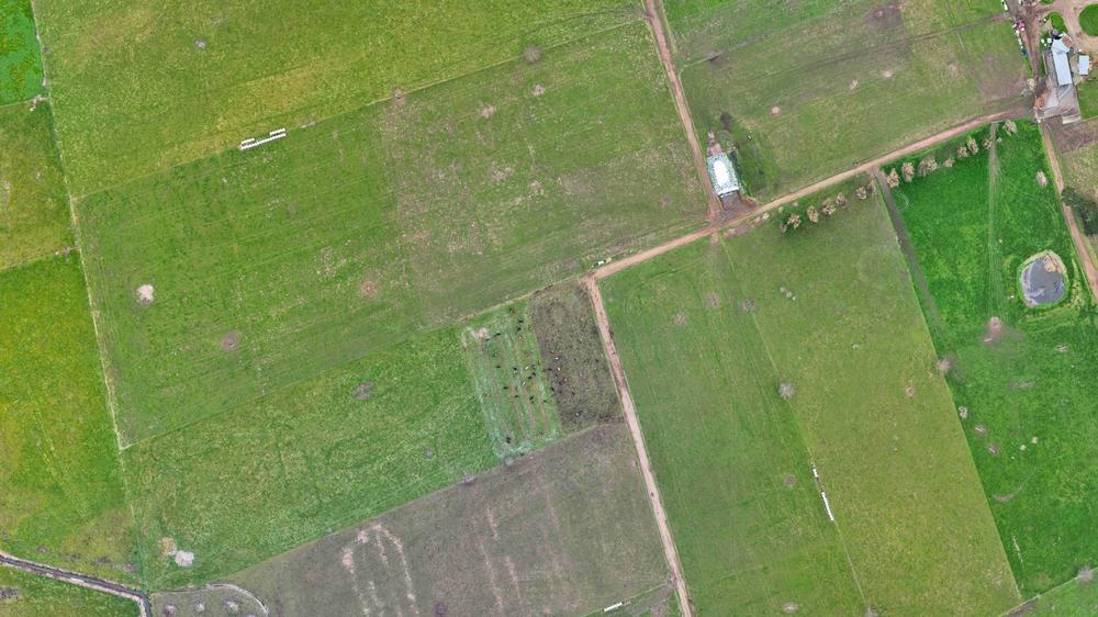 Top-down drone map of farm paddocks, tracks and a small pond